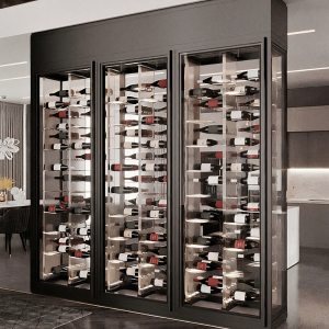 Stainless Steel Glass Enclosed Wine Cabinet